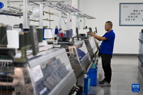 內蒙古鄂爾多斯 羊絨制品生產(chǎn)忙