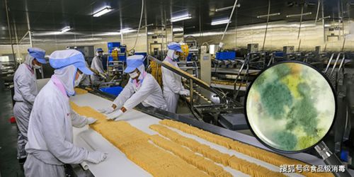 食品生產(chǎn)車(chē)間如何有效解決霉菌孢子 潔凈車(chē)間細(xì)菌真菌